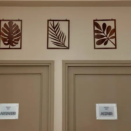 Vimavi & * 卡塔尼亚